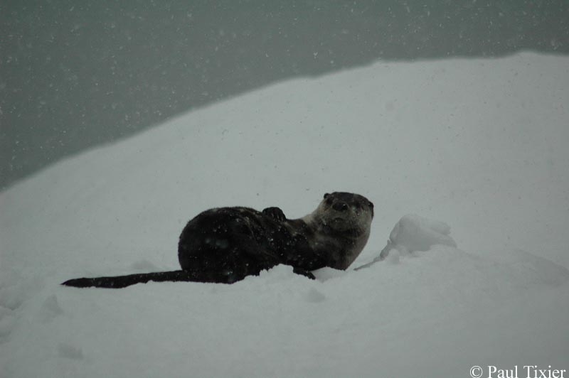 massage de neige