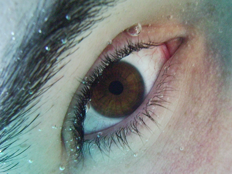 Oeil